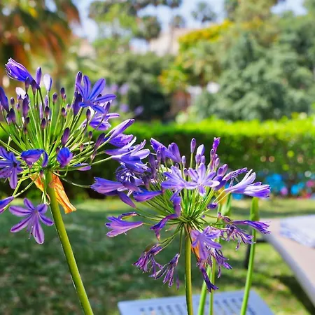 Fabulous In Elviria Hills 아파트 마르베야